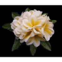 ハワイアンヘアクリップ リアルプルメリアヘアクリップ Lサイズ イエロー