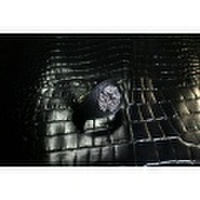 雲龍【独眼竜政宗】革ブレスレット