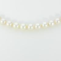 シルバークラスプ アコヤパールネックレス