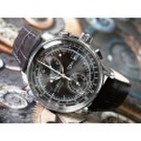 ツェッペリン ZEPPELIN 腕時計 8670-2 100周年記念 クォーツ 42mm レザーベルト