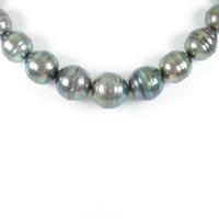 シルバークラスプ クロチョウパールネックレス