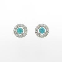 【新品】PT パライバトルマリンピアス