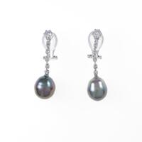 K14WG クロチョウパールイヤリング