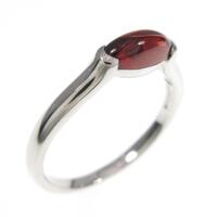 PTガーネットリング