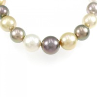 タサキ 白蝶パール ネックレス