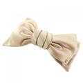 アレクサンドルドゥパリ ALEXANDRE DE PARIS HAIR ACCESSORIES