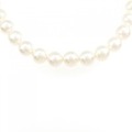 シルバークラスプ アコヤパール ネックレス 7.5-8mm