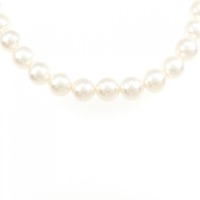 シルバークラスプ アコヤパール ネックレス 7.5-8mm