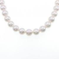 シルバークラスプ アコヤパール ネックレス 9.5-10mm