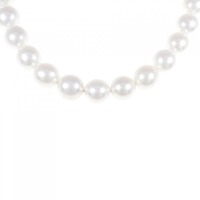 【新品】シルバークラスプ アコヤパール ネックレス 8-8.5mm