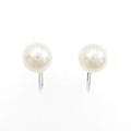 K14WG アコヤパール イヤリング 7.5mm
