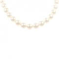 シルバークラスプ アコヤパール ネックレス 8-8.5mm