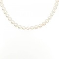 シルバークラスプ アコヤパール ネックレス 6.5-7mm