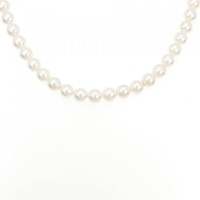 シルバークラスプ アコヤパール ネックレス 6.5-7mm