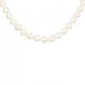 シルバークラスプ アコヤパール ネックレス 7-7.5mm