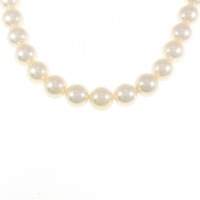 シルバークラスプ アコヤパール ネックレス 8.5-9mm