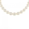 シルバークラスプ アコヤパール ネックレス 7.5-8mm