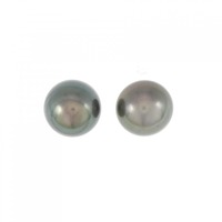 PT 黒蝶パール ピアス 11.5mm