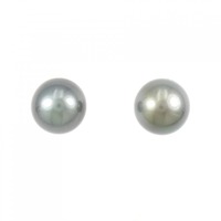 PT 黒蝶パール ピアス 11.1mm