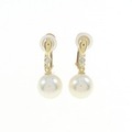 K18YG アコヤパール イヤリング 7.5mm