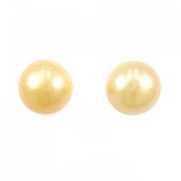 PT 白蝶パール ピアス 13.2mm