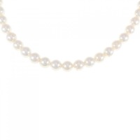 シルバークラスプ アコヤパール ネックレス 6.5-7mm
