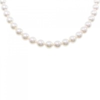シルバークラスプ アコヤパール ネックレス 7.5-8mm