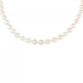 シルバークラスプ アコヤパール ネックレス 5-5.5mm
