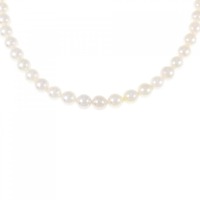 シルバークラスプ アコヤパール ネックレス 5-5.5mm