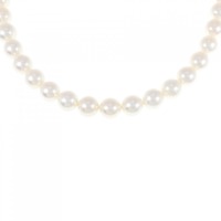 シルバークラスプ アコヤパール ネックレス 7-7.5mm