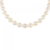 シルバークラスプ アコヤパール ネックレス 8-8.5mm