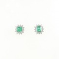 PT エメラルド ピアス 0.51CT