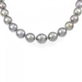 シルバークラスプ 黒蝶パール ネックレス 9.1-11.8mm
