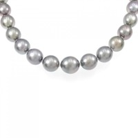 シルバークラスプ 黒蝶パール ネックレス 9.1-11.8mm