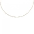 シルバークラスプ アコヤパール ネックレス 2.5-3mm