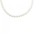 シルバークラスプ アコヤパール ネックレス 6-6.5mm