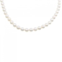 シルバークラスプ アコヤパール ネックレス 6-6.5mm
