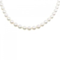 シルバークラスプ アコヤパール ネックレス 7-7.5mm