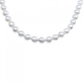 シルバークラスプ アコヤパール ネックレス 8-8.5mm