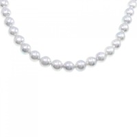 シルバークラスプ アコヤパール ネックレス 8-8.5mm