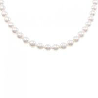 シルバークラスプ アコヤパール ネックレス 6.5-7mm