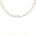 シルバークラスプ アコヤパール ネックレス 8.5-9.0mm