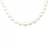 【新品】シルバークラスプ アコヤパール ネックレス 8-8.5mm