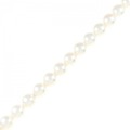 シルバークラスプ アコヤパール ブレスレット 6.5mm