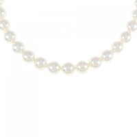 シルバークラスプ アコヤパール ネックレス 7-7.5mm