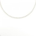 シルバークラスプ アコヤパール ネックレス 3.5-4mm