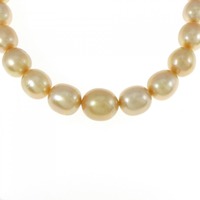 シルバークラスプ 白蝶パール ネックレス 10-14mm