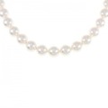 シルバークラスプ アコヤパール ネックレス 7.5-8mm