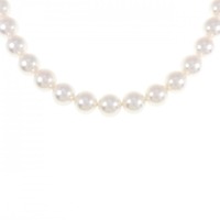 シルバークラスプ アコヤパール ネックレス 7.5-8mm