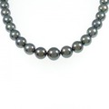 シルバークラスプ 黒蝶パール ネックレス 8.0-11.5mm